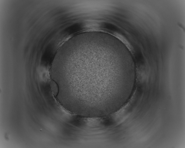 X0000095670857200801221203