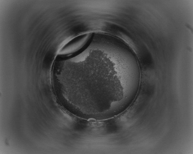 X0000095670858200801221203