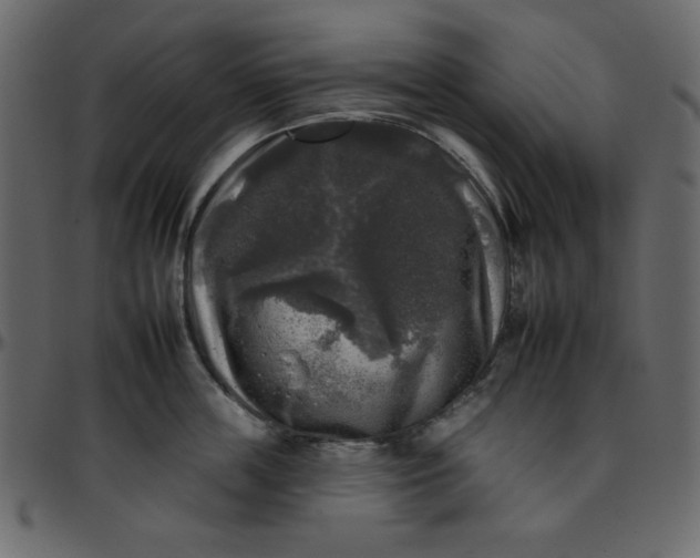 X0000095670859200801221203