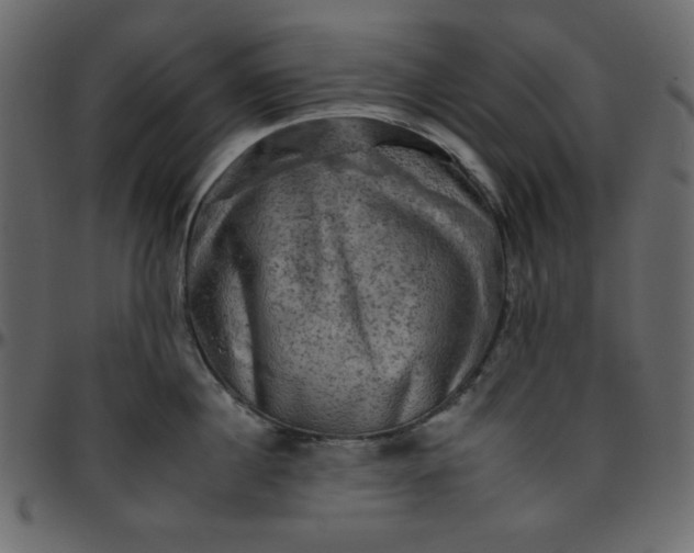 X0000095670860200801221203