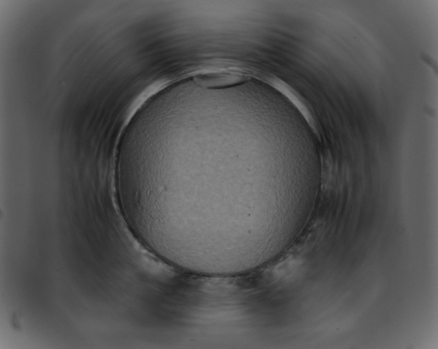 X0000095670861200801221203