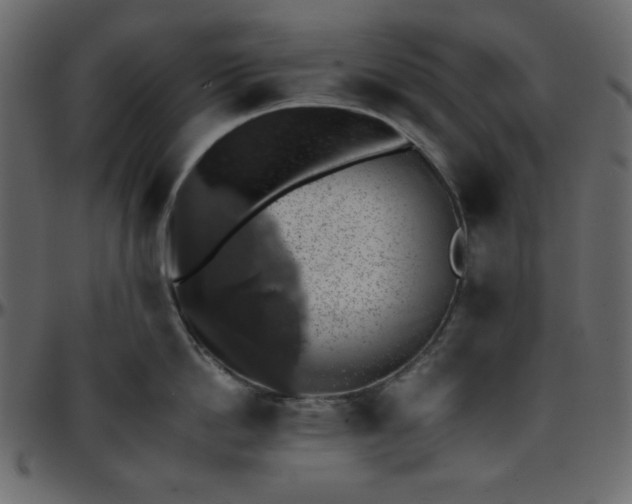 X0000095670862200801221203