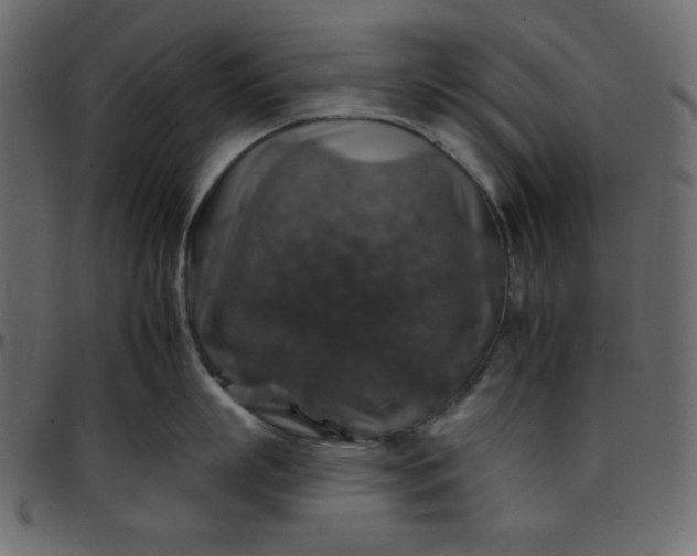 X0000095670863200801221203