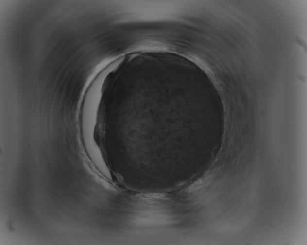 X0000095670864200801221203