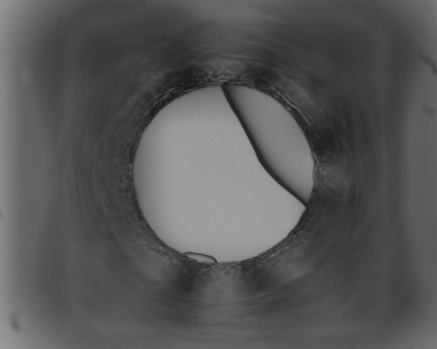 X0000095670865200801221202