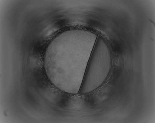 X0000095670869200801221202