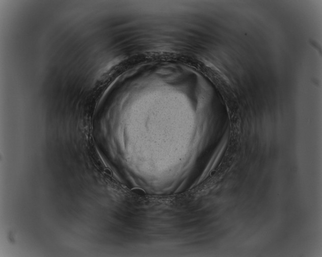 X0000095670870200801221202