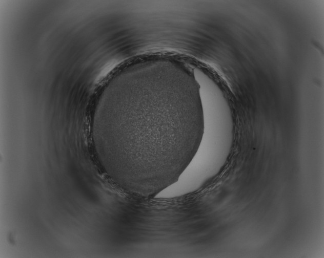 X0000095670871200801221202