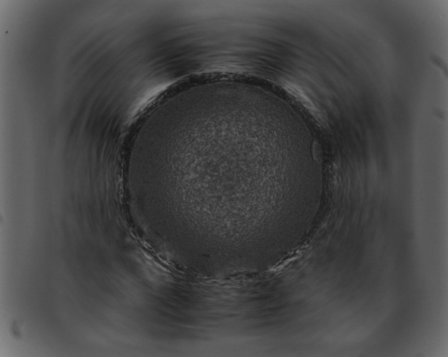 X0000095670872200801221202