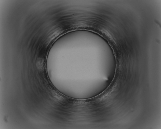 X0000095670873200801221202