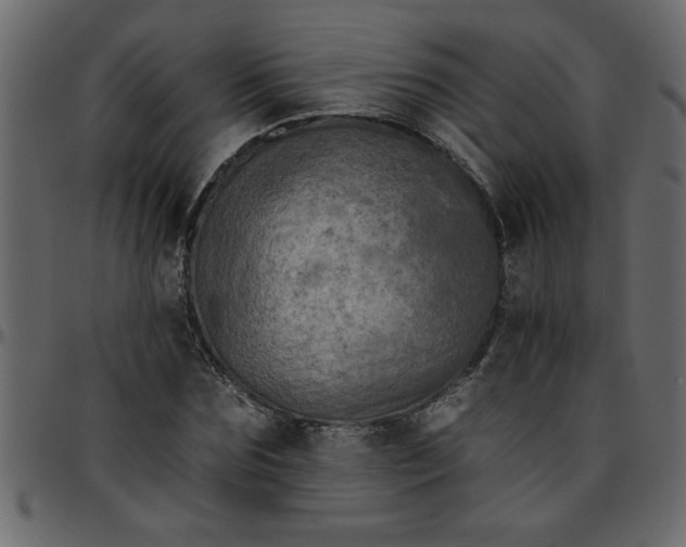 X0000095670875200801221202