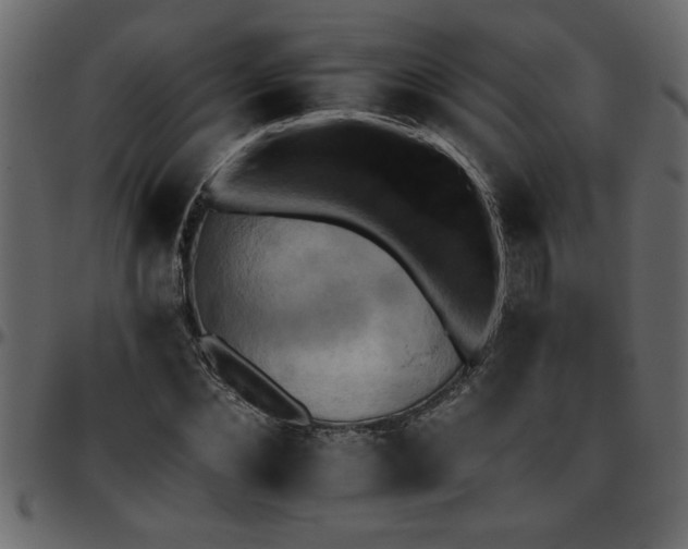 X0000095670876200801221202