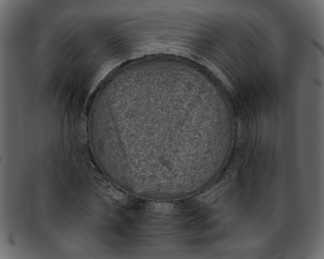 X0000095670878200801221202