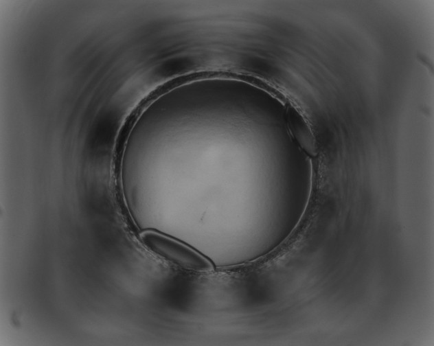 X0000095670880200801221202