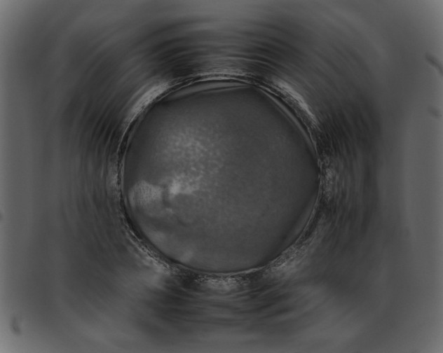 X0000095670882200801221202