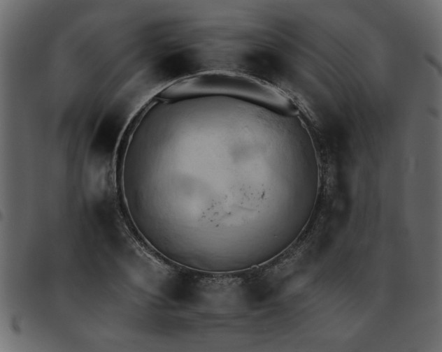 X0000095670884200801221202