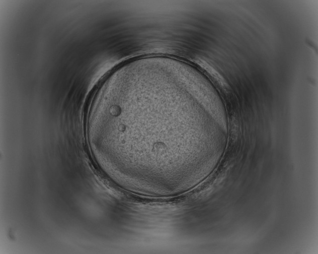 X0000095670886200801221202