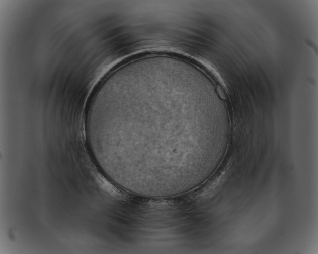 X0000095670887200801221202