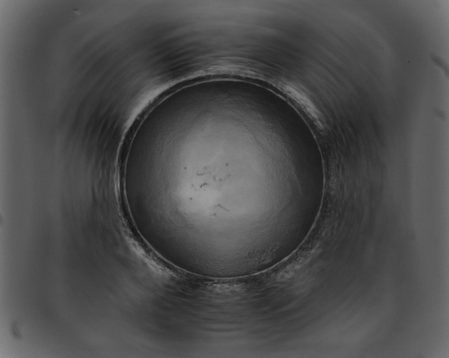 X0000095670888200801221202