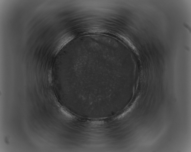 X0000095670889200801221202