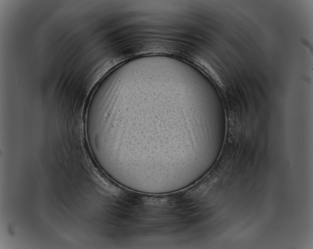 X0000095670890200801221202