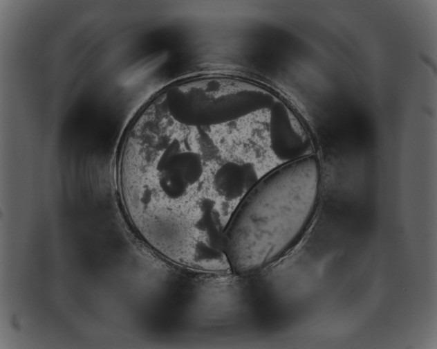 X0000095670891200801221202