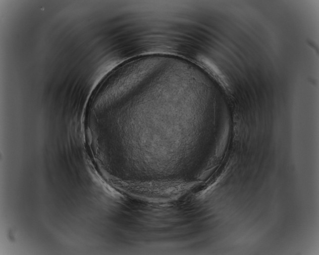 X0000095670892200801221202