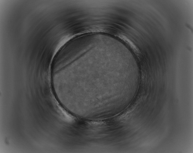 X0000095670894200801221202