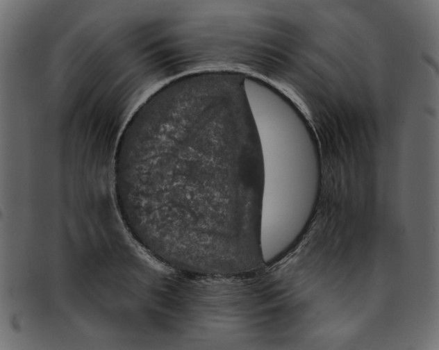 X0000095670895200801221202