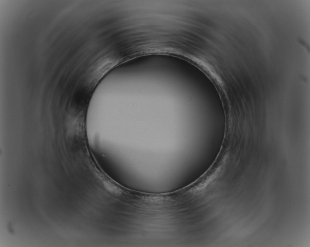 X0000095670897200801221202