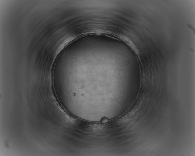 X0000095670898200801221202