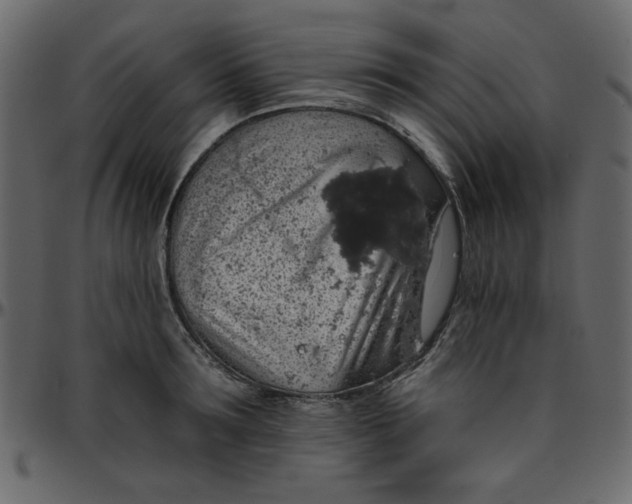 X0000095670899200801221202