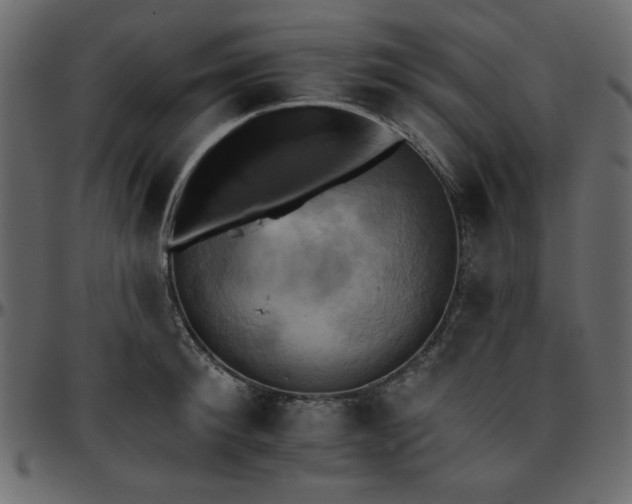 X0000095670900200801221202