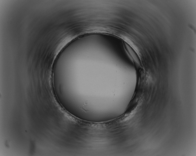 X0000095670901200801221202