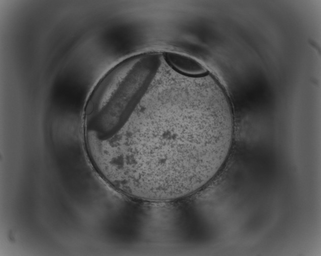 X0000095670903200801221202