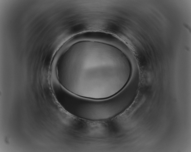 X0000095670904200801221202