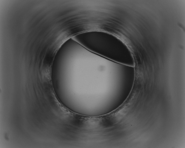 X0000095670905200801221202