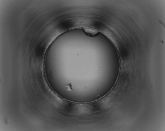 X0000095670906200801221202