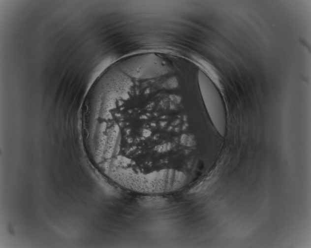 X0000095670907200801221202