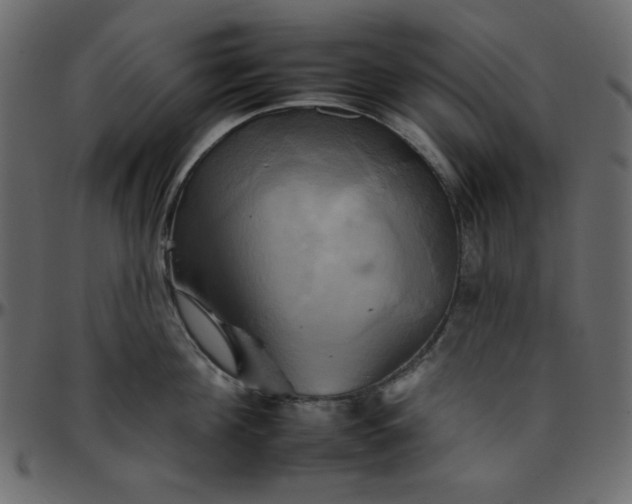 X0000095670908200801221202