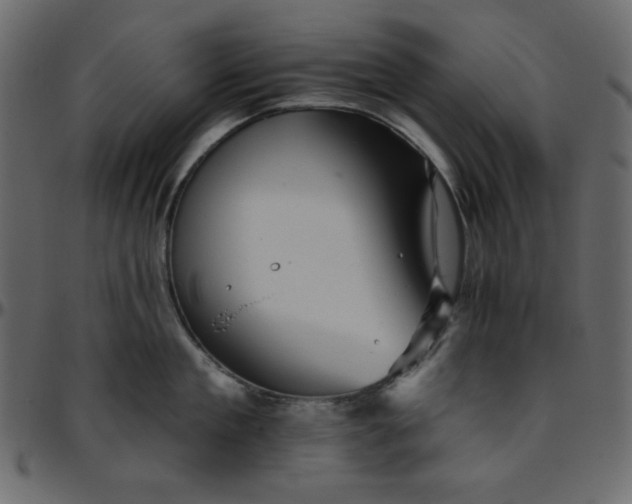 X0000095670909200801221202