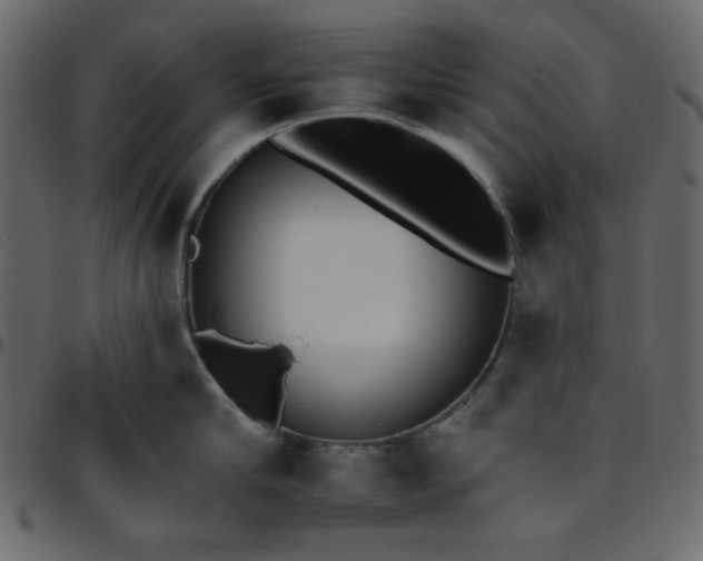 X0000095670910200801221201