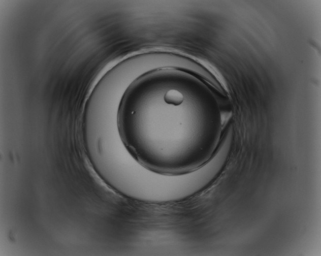 X0000095670911200801221201