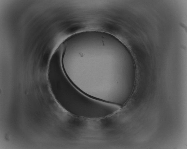 X0000095670912200801221201