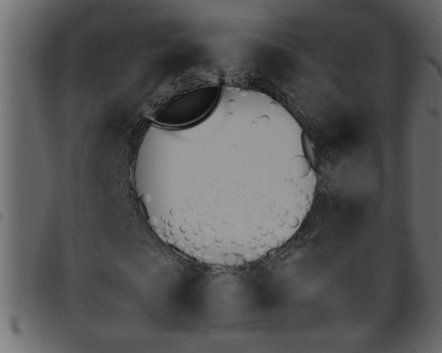 X0000095670913200801221201