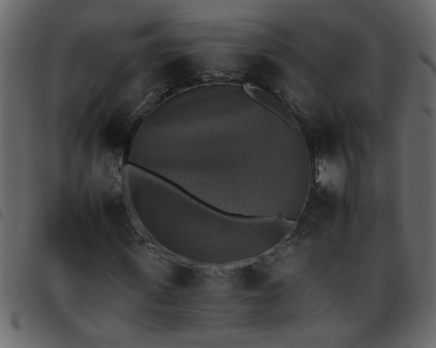 X0000095670915200801221201