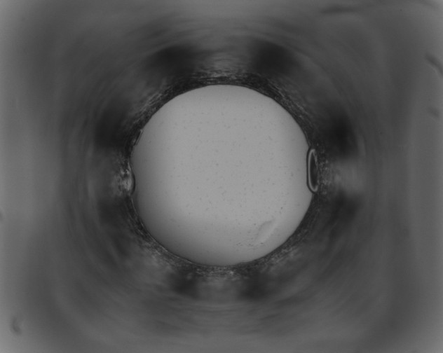 X0000095670916200801221201