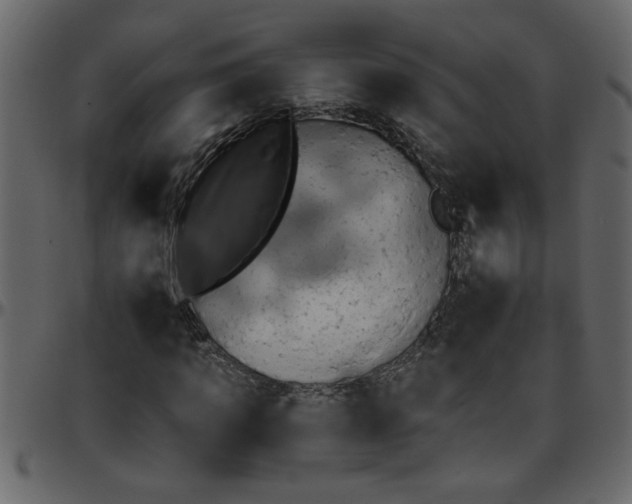 X0000095670917200801221201