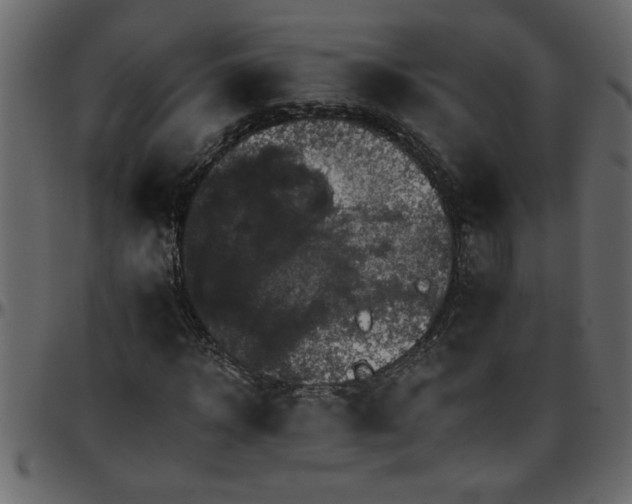 X0000095670918200801221201