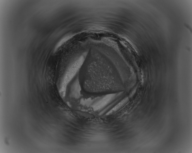 X0000095670919200801221201